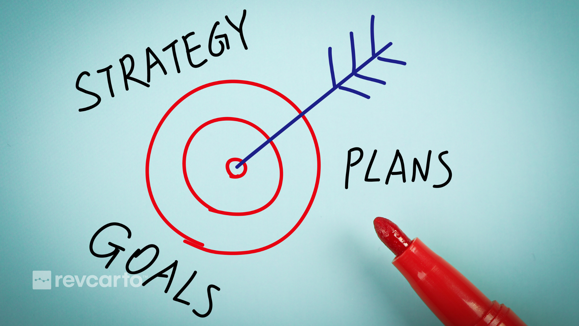 Strategy Plans and Goals Revcarto