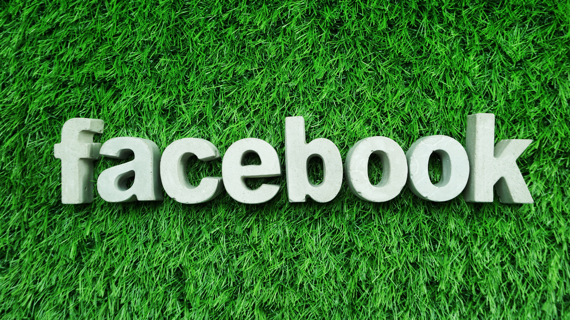 The Beginner's Guide to Facebook Ads